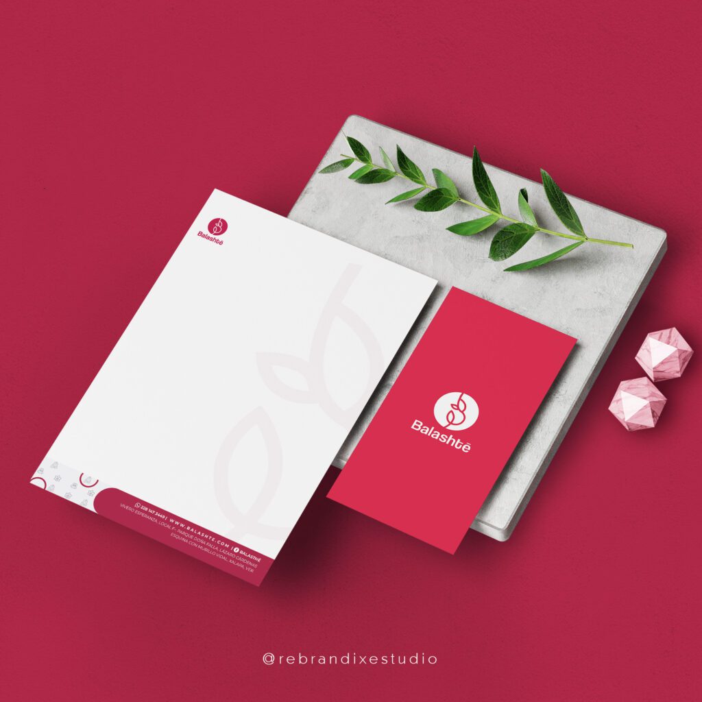 Diseño de branding para empresa en Xalapa, Veracruz.