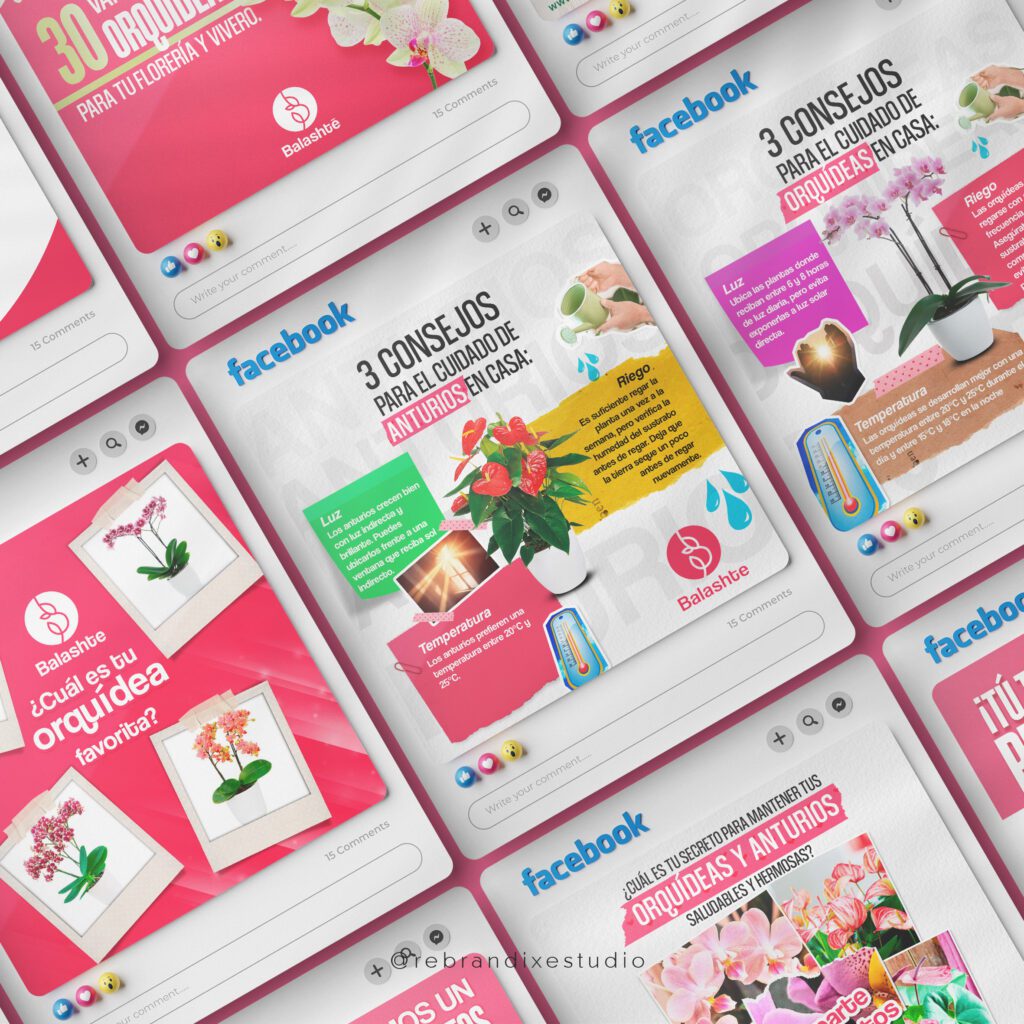 diseño para redes sociales - Balashté