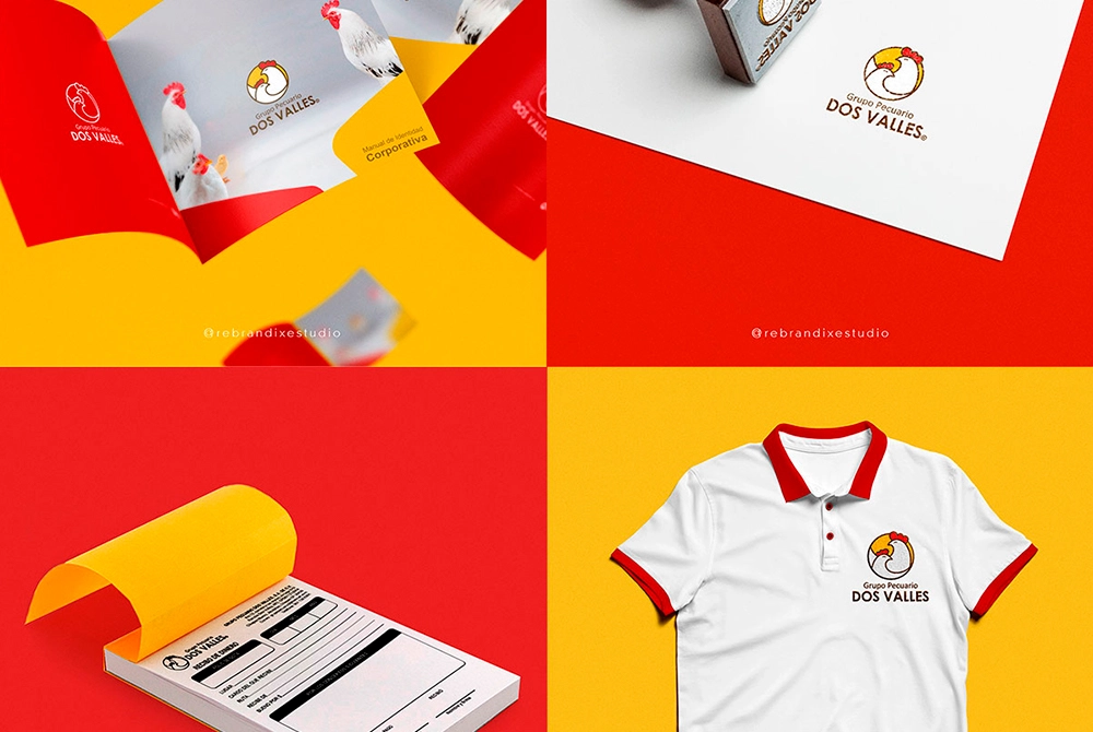 Identidad Visual Empresa Cintalapa