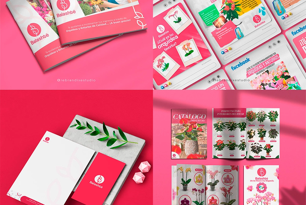 Diseño de Catálogo y Branding para Productora de Orquídeas.